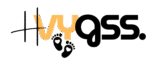 hvygss.com